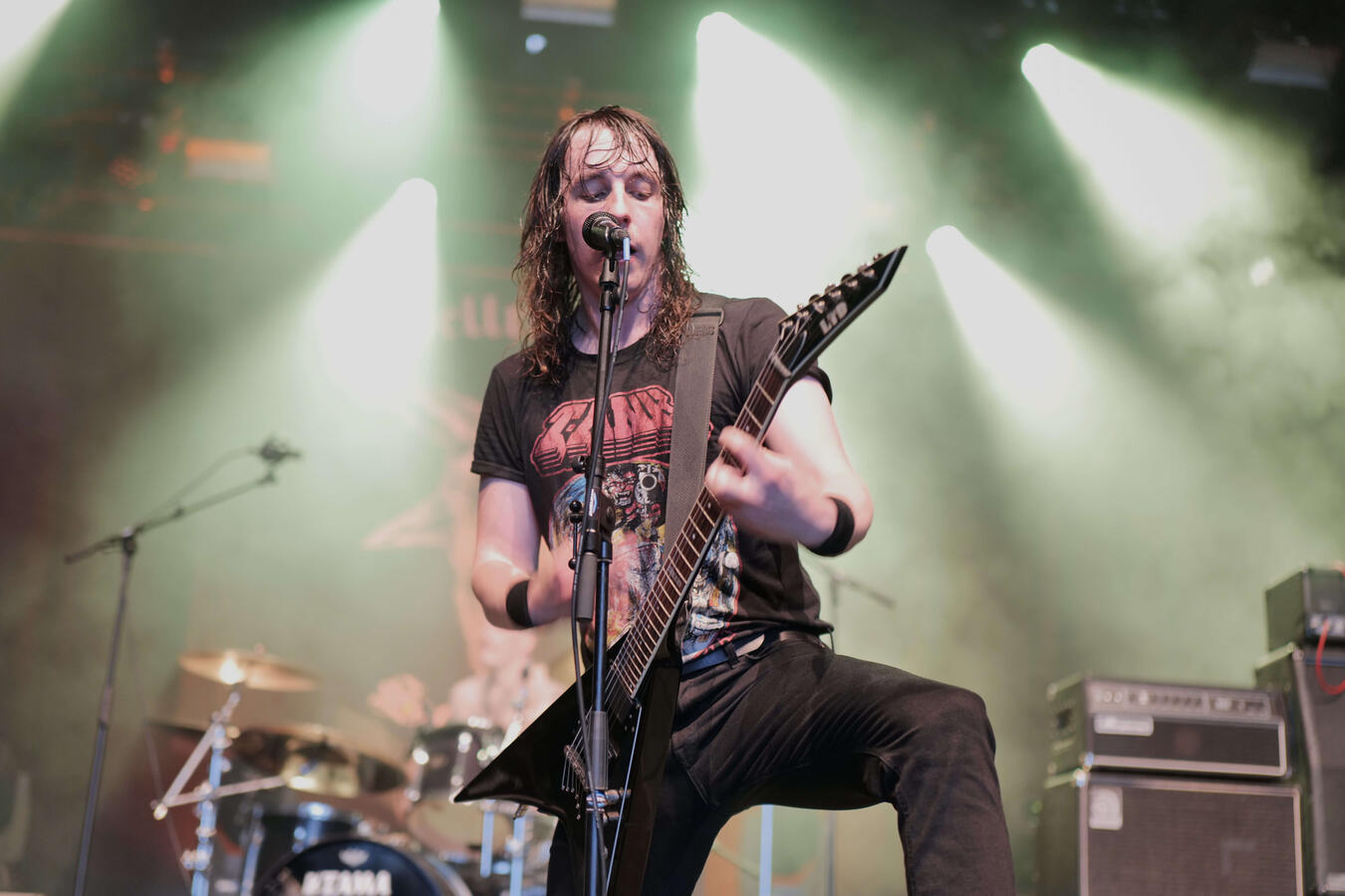 Concert photography by Camerajongen at a music festival